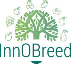 Logo InnOBreed